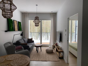 Apartament Nieznany Bór, Hajnówka